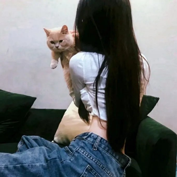 乱码迷局